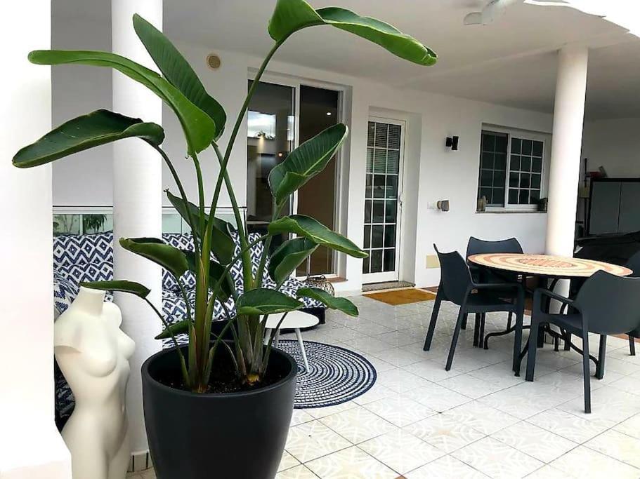 Pura Vida Strandnahes Ferienappartment In Bester Lage! Пуерто де ла Крус Екстериор снимка